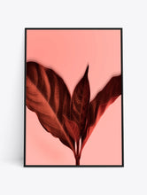 Load image into Gallery viewer, MAGIC LEAF
