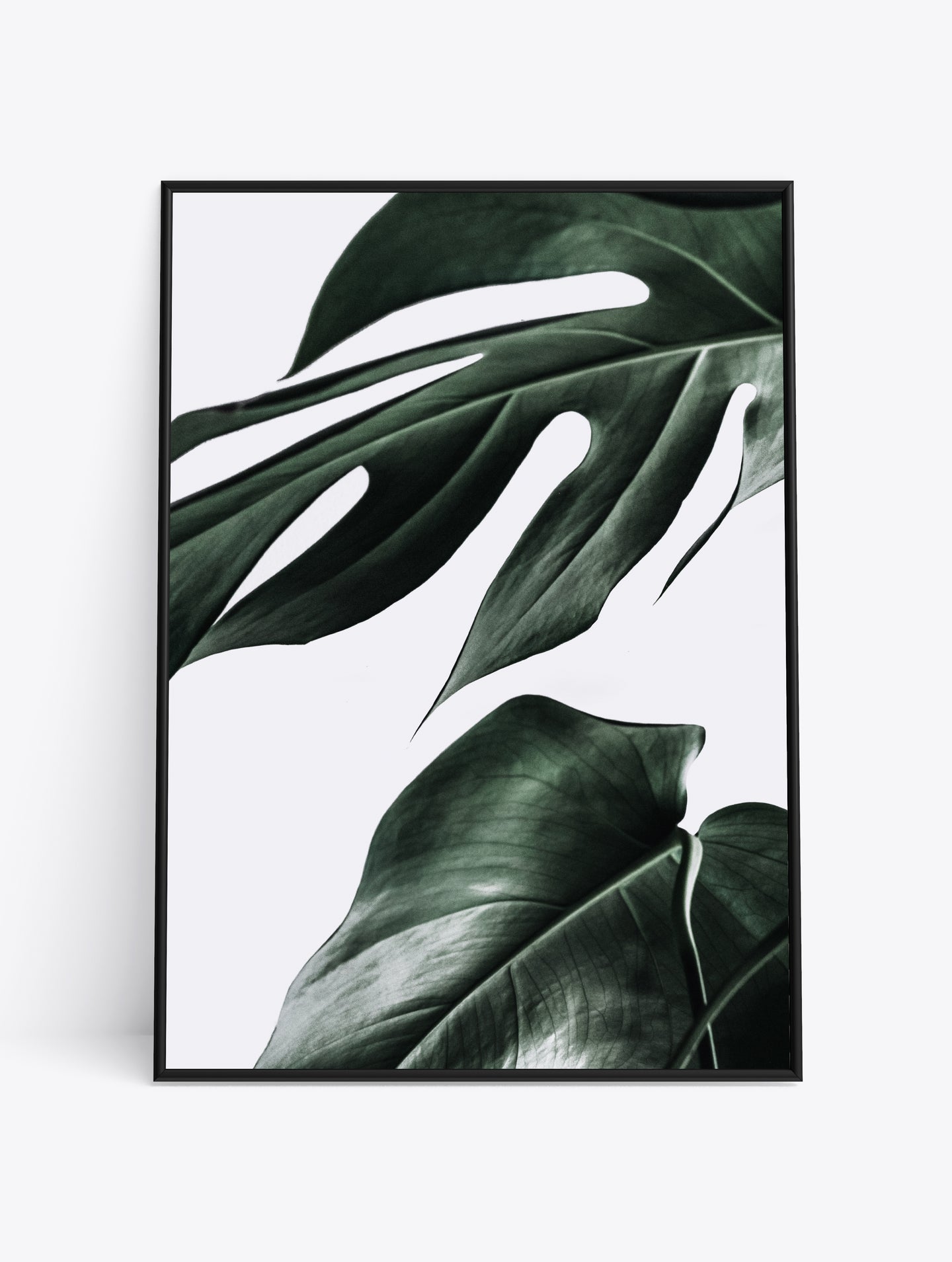 TROPICAL LEAF