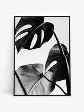 Load image into Gallery viewer, TROPICAL LEAF 2
