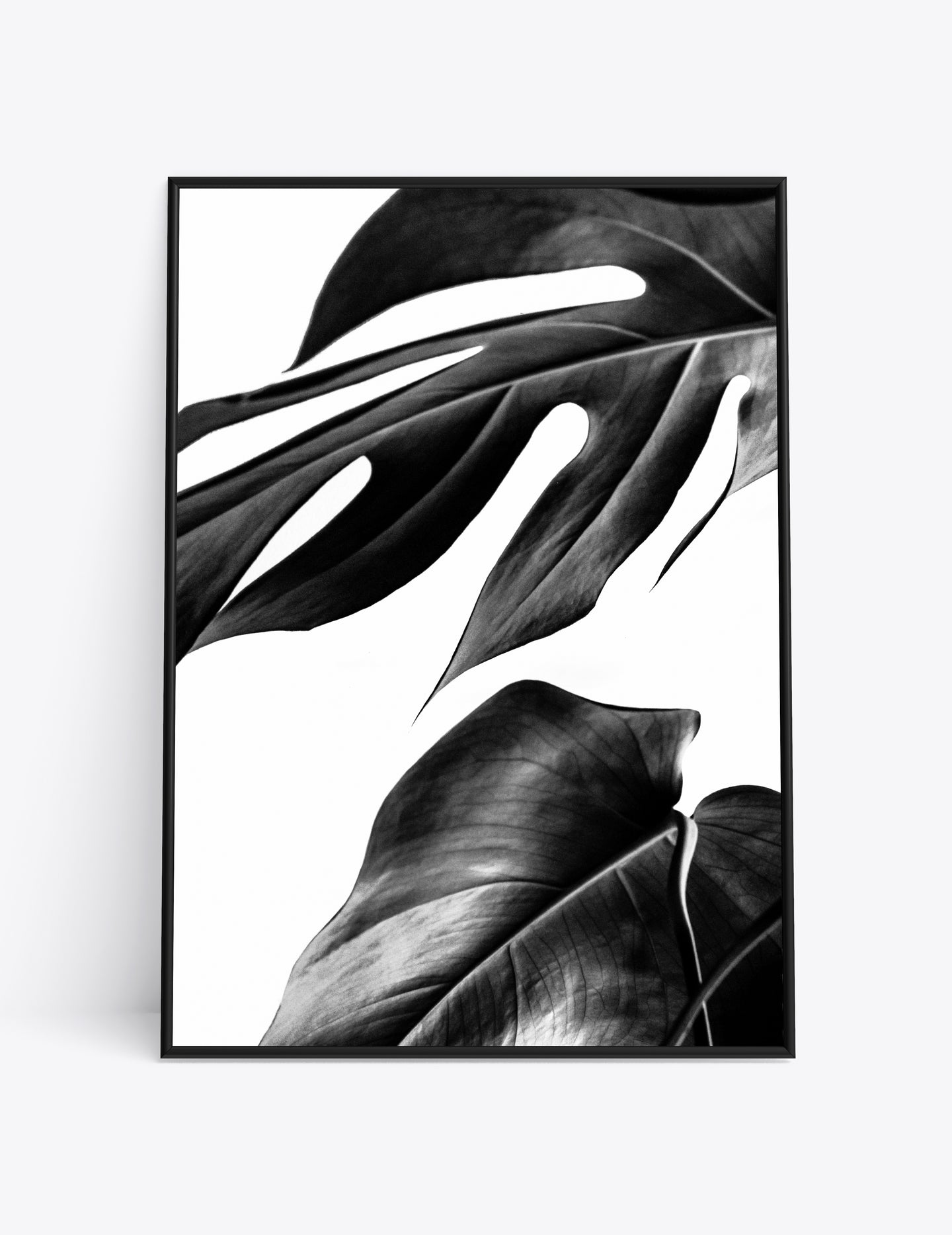 TROPICAL LEAF 1